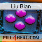 Liu Bian 04